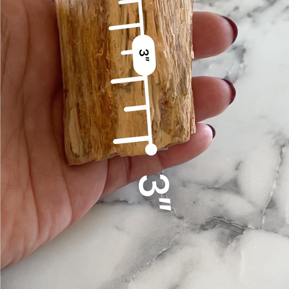 Petrified Wood - Picture 6 of 7